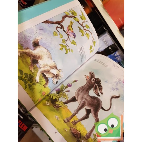 Füzesi Zsuzsa (szerk.): Mondókáskönyv 2. (Mondókáskönyv 2.)