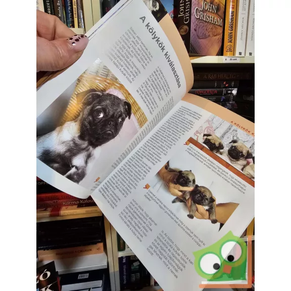 Anna Katherine Nicholas: A ​mopsz (Kisállataink gondozása, ápolása)