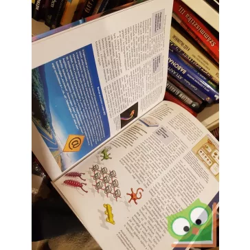   Rainer Köthe: Multimédia és a virtuális valóság (Mi micsoda 69.)
