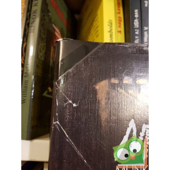 Végvári Lajos: Munkácsy Mihály