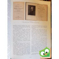   Gosztonyi Ferenc: Munkácsy a nagyvilágban/ Munkacsy in the world