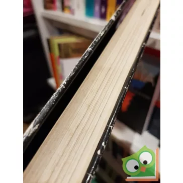 Klein Sándor (szerk.): Munkapszichológia I.