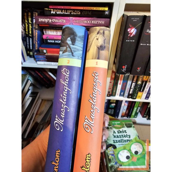 Terri Farley: Musztánghold (Vágtázó Fantom 2.) (ritka)