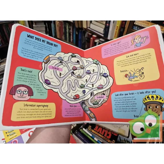 Ruth Martin, Allan Sanders: My Amazing Body (Little explorers)