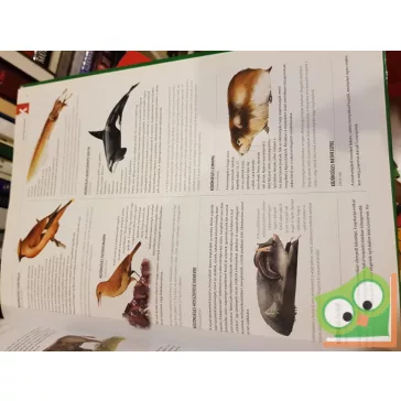 Kiss Bitay Éva - Veress László: Nagy állatlexikon