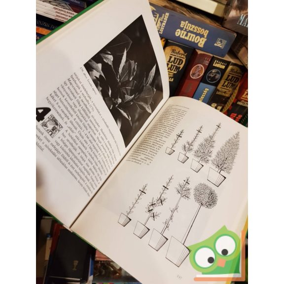 Velich István, V. Nagy Enikő: Nálunk is megterem