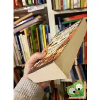 Stephen King: Napnyugta után (Ritka)