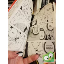   Kisimoto Maszasi: Naruto 19. (Naruto 19.) - Az örökös (magyar nyelvű manga)
