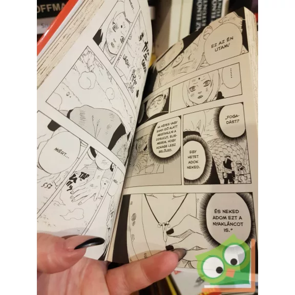 Kisimoto Maszasi: Naruto 19. (Naruto 19.) - Az örökös (magyar nyelvű manga)