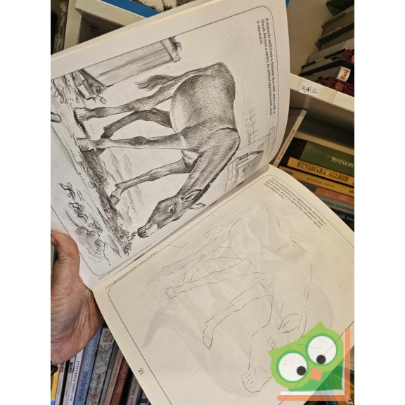 Subodh Narvekar: Állatok I-II. (Tanulj meg rajzolni! - Árnyékolás ceruzával) (ritka)