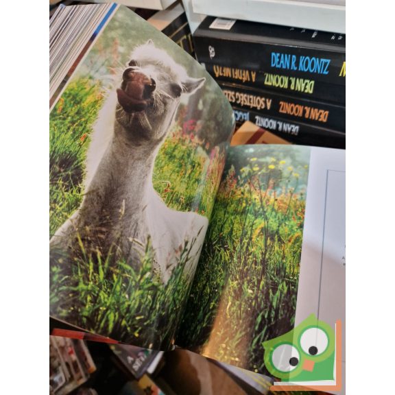 Natinal Geographic - Lovak