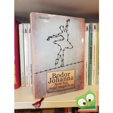 Bodor Johanna: Nem baj, majd megértem