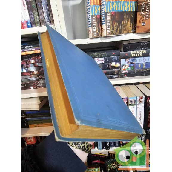 Kőszeghi Sándor: Nemes családok Pestvármegyében (ritka)