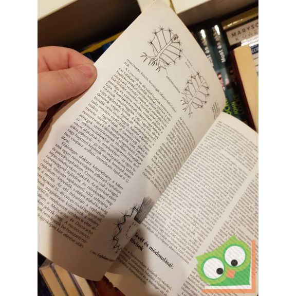 Dr. Nemes Lajos: Kaktuszok