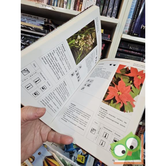 Pierre Nessmann: Szobanövények