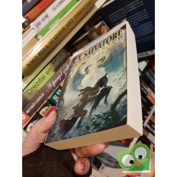 R. A. Salvatore: Neverwinter (Neverwinter 2.) (Drizzt legendája 21.)