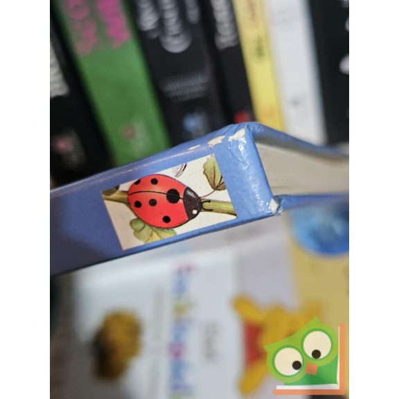 Émilie Beaumont, Lindsey Selley: Nézd milyenek az állatok! (ritka)