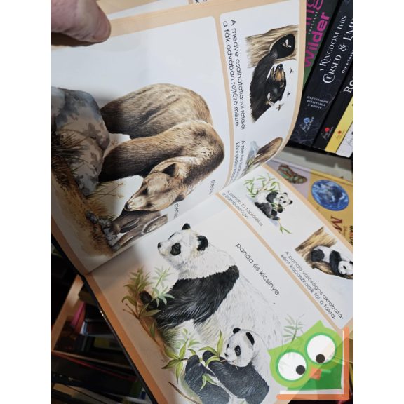 Émilie Beaumont, Lindsey Selley: Nézd milyenek az állatok! (ritka)