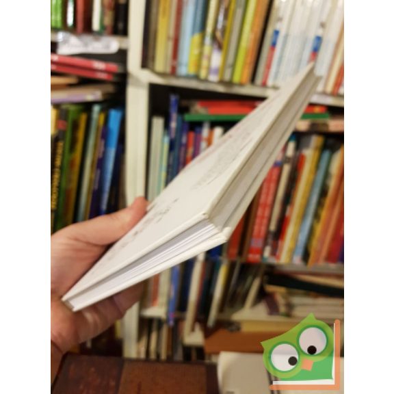 Sempé - Goscinny: Nicolas-nak gondjai vannak