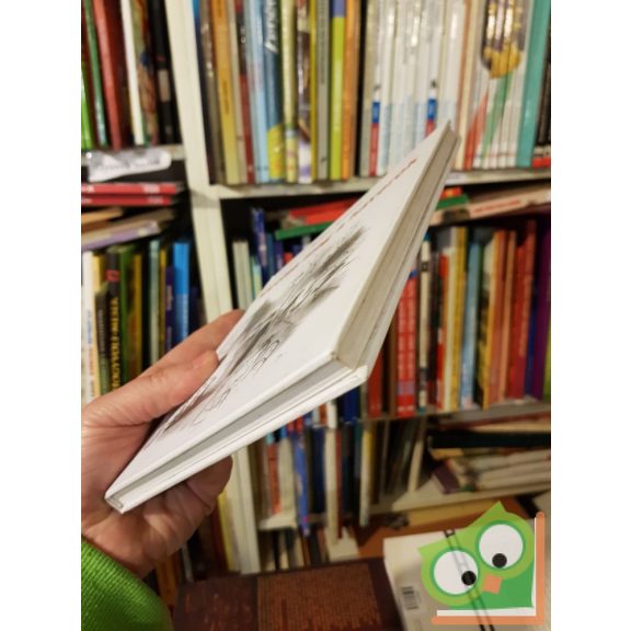 Sempé - Goscinny: Nicolas meg a haverok