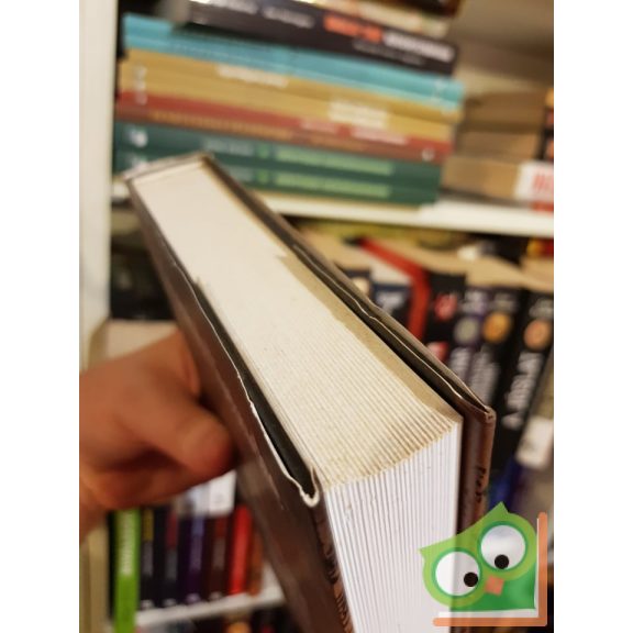 Friedrich Nietzsche: A hatalom akarása  (Nagyon ritka!)