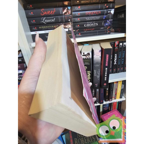 Nora Roberts: Mézes puszedli / A játék szabálya