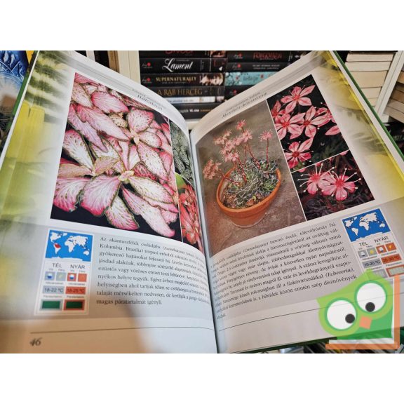 Molnár Hanga Anna: Növények a lakásban