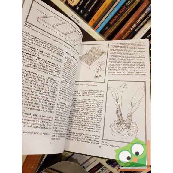 Czáka Sarolta - Füstös Zsuzsanna - Hrotkó Károly: A növényszaporítás ábécéje