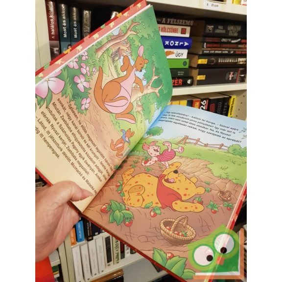 Ysenda Maxtone-Graham: A nagy nyári gyümölcsparti (Walt Disney - Micimackó könyvklub)