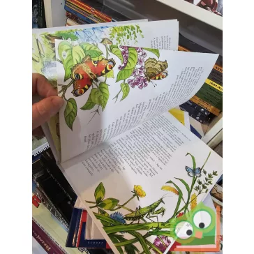   Schmidt Egon: A nyáriorgona vendégei (Mesélnek az állatok)