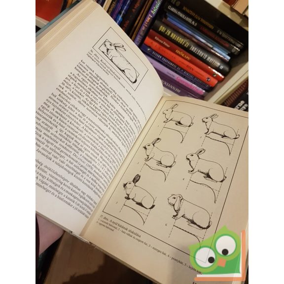 Holdas Sándor: Nyúltenyésztők kézikönyve