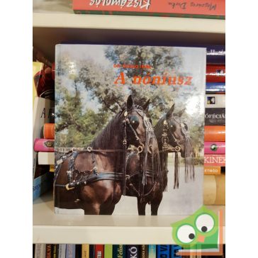 Dr. Ócsag Imre: A nóniusz