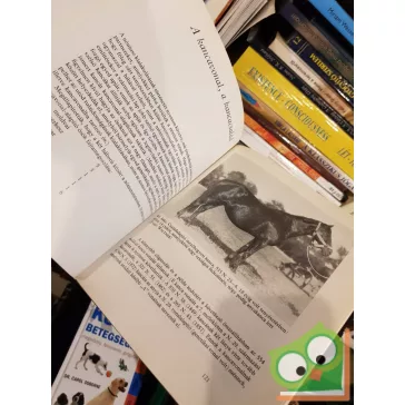 Dr. Ócsag Imre: A nóniusz