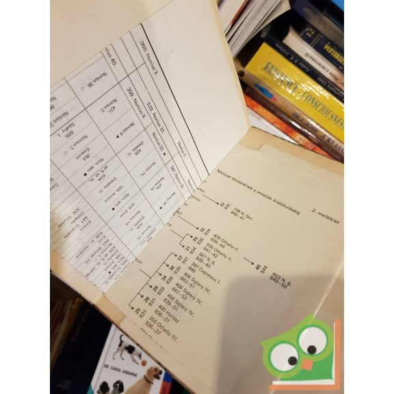 Dr. Ócsag Imre: A nóniusz