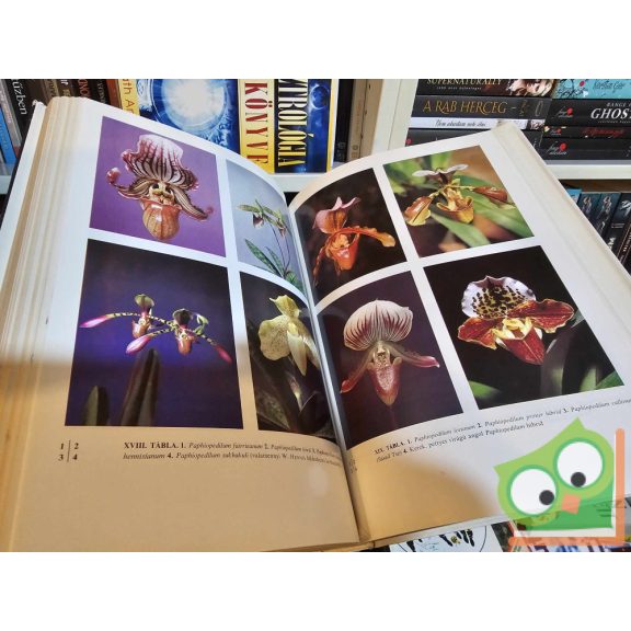 Makara György: Orchideák és broméliák