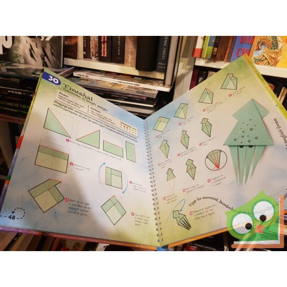 Origami - Papírhajtogatás mindnekinek (Alkotó Kezek)