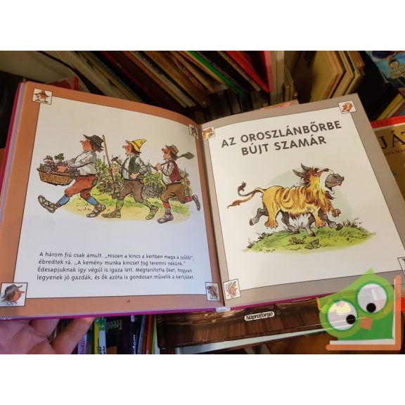 Val Biro: Az oroszlánbőrbe bújt szamár és más történetek