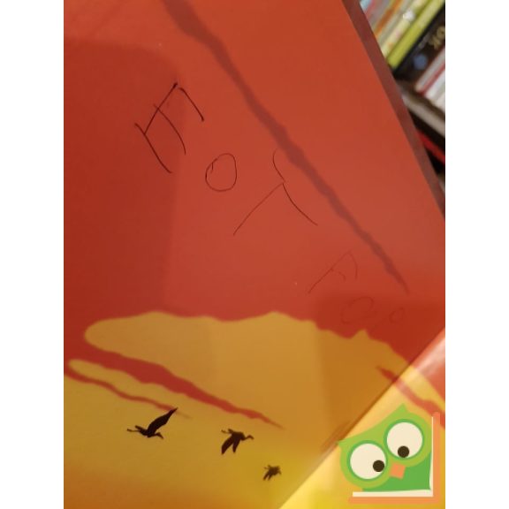 Walt Disney Oroszlánkirály képregény    (Ritka)