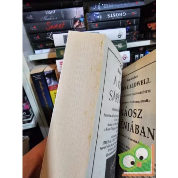   Terry Pratchett: Őrség! Őrség! (Korongvilág 8.) (Őrség 1.) (Cherubion)