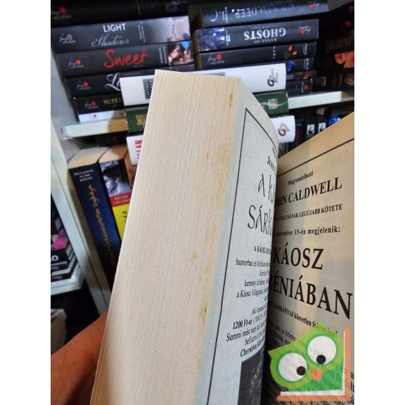 Terry Pratchett: Őrség! Őrség! (Korongvilág 8.) (Őrség 1.) (Cherubion)