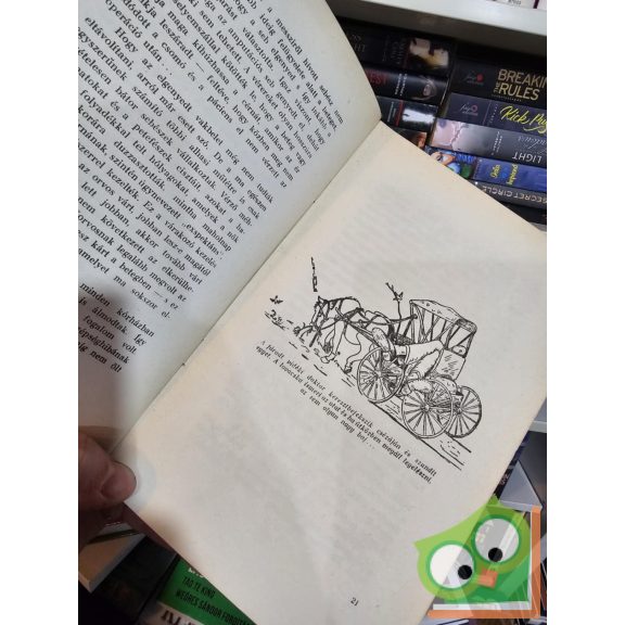 Arthur Hertzler: Orvos az országúton - Egy vidéki doktor naplója - Teddy Bell rajzaival