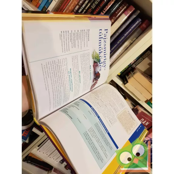 Kalyn (szerk.) - Tokarski (szerk.) - Guido (szerk.): Orvosság a konyhából (Readers Digest)