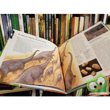 Jinny Johnson: Őslények  (Bemutatjuk a világot sorozat)