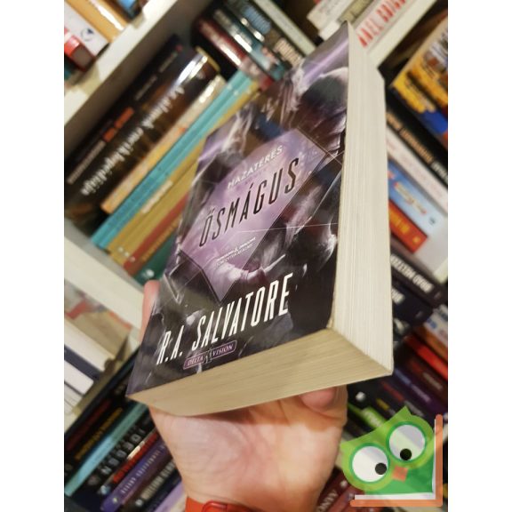 R. A. Salvatore: Ősmágus (Hazatérés 1.) (Drizzt legendája 28.)