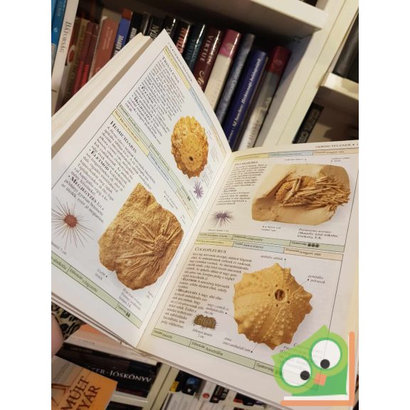 Cyril Walker - David Ward: Ősmaradványok (Határozó Kézikönyvek) (ritka)