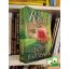 Nora Roberts: Őszinte hazugságok (ritka)