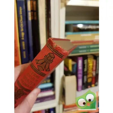 Jules Verne: Öt hét léghajón