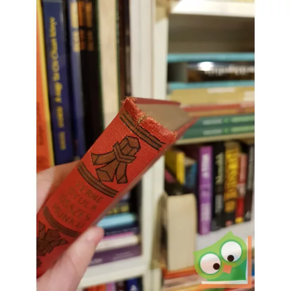 Jules Verne: Öt hét léghajón