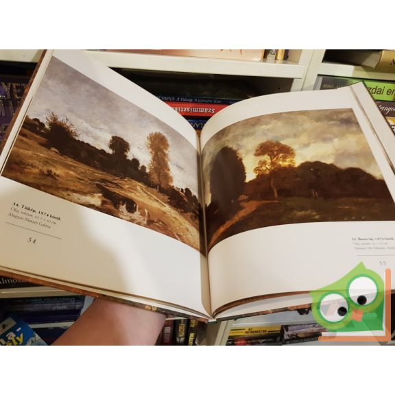 Bakó Zsuzsanna: Paál László (A magyar festészet mesterei 4.)