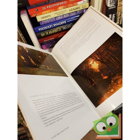 Bényi László: Paál László